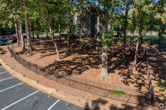 Dog Park