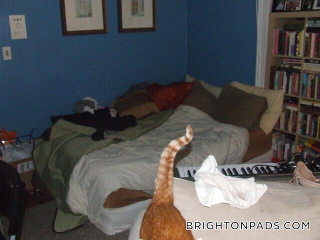 Photo - 1665 Commonwealth Ave Unidad 5