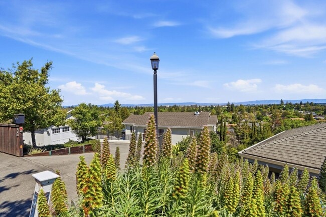 Photo - 531 Upland Rd