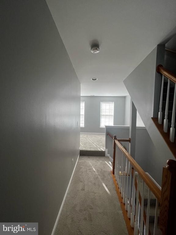 42800 Cedar Hedge St Townhome Townhome Rental in Chantilly VA