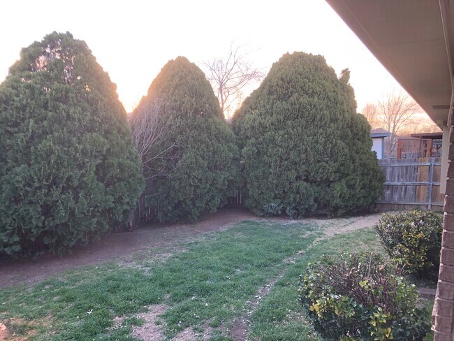 Photo - 10629 Holly Grove Dr