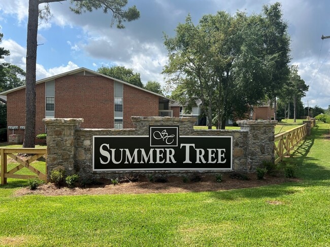 Summer Tree