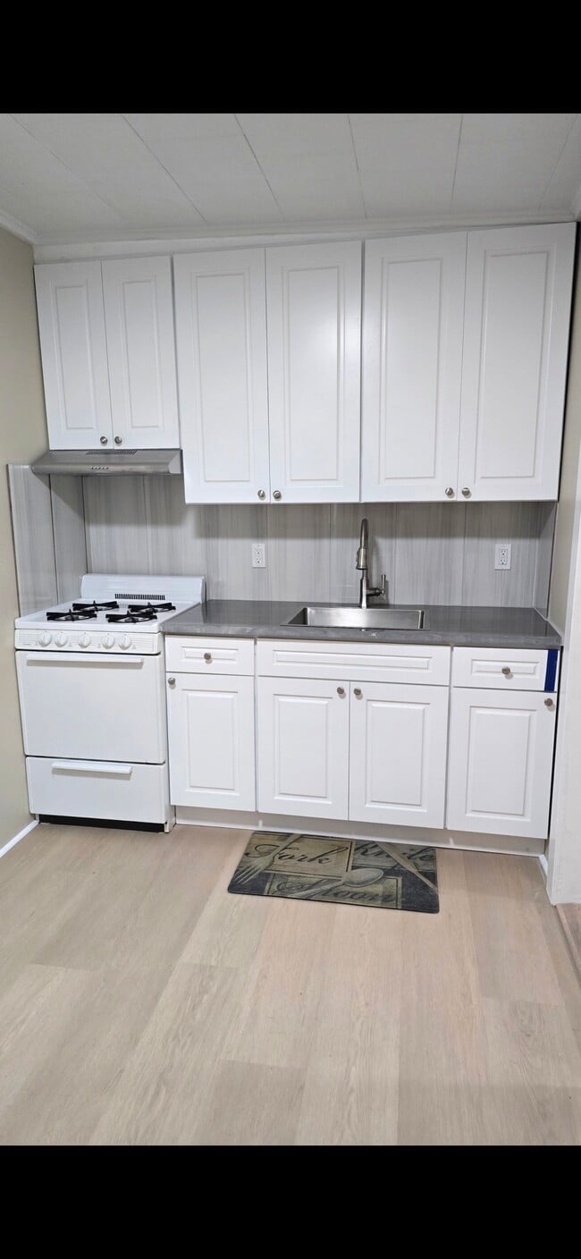 Kitchen pic1 - 80 Crotty Ave Unit apartment # 2