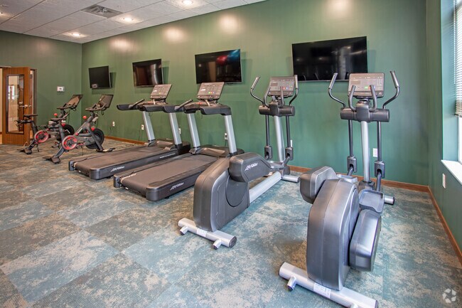 Fitness
