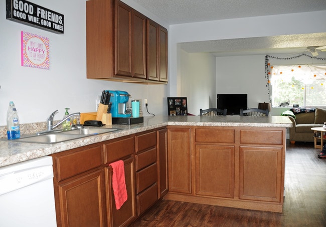 Photo - Southpoint Village