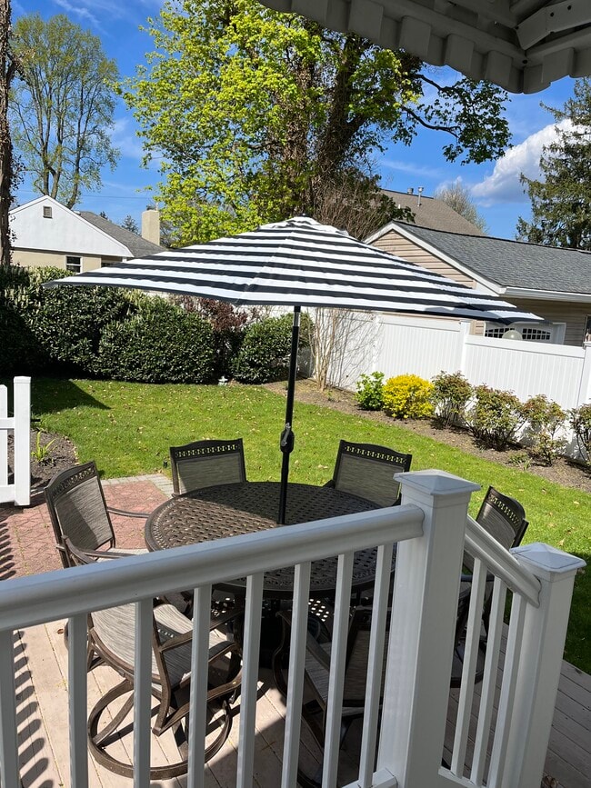 Back yard