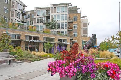 Building Photo - Spacious Kirkland Central Condo for Rent.