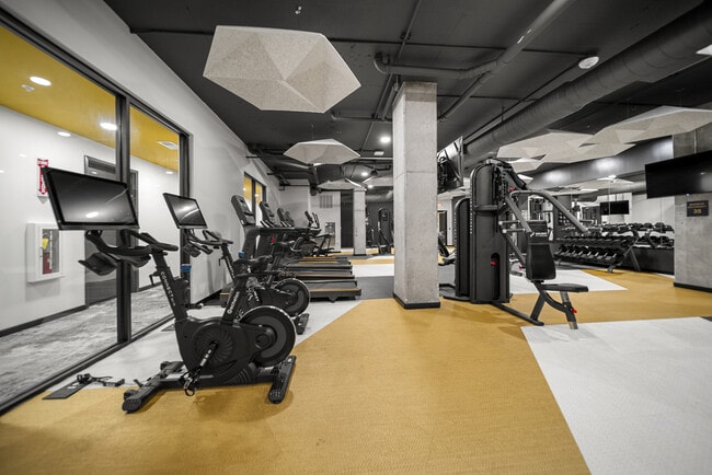 Gym - Cardio Training
