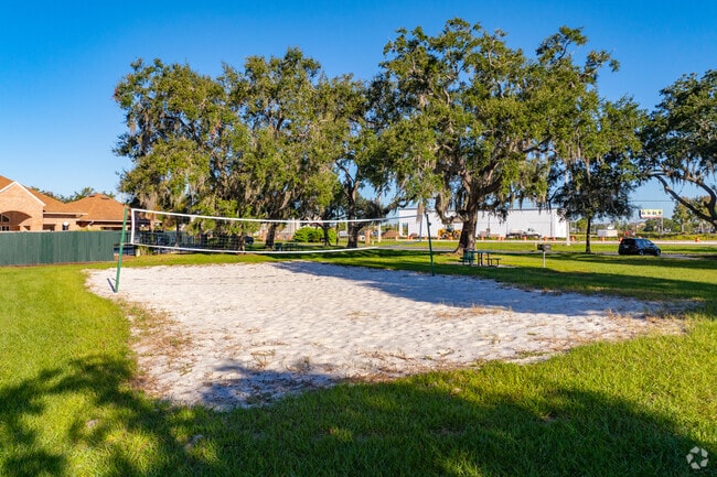 Volleyball Court