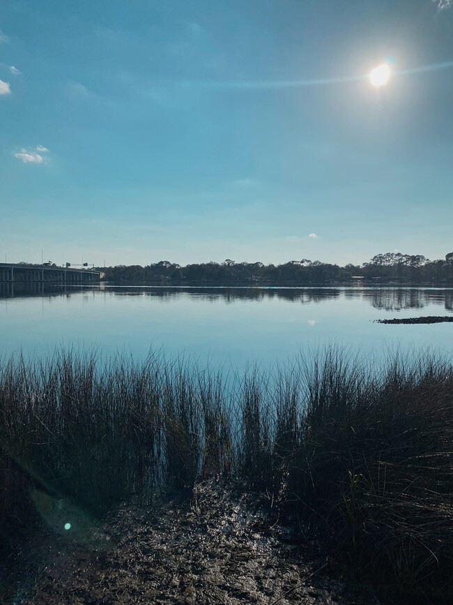 Island Pointe Apartments For Rent in Jacksonville, FL