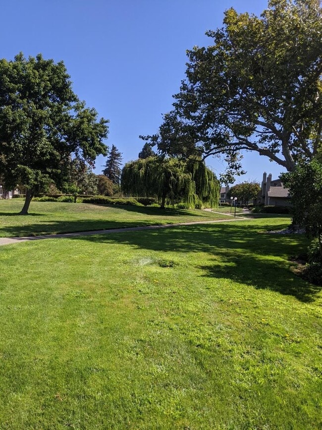 Photo - 1041 Grebe St