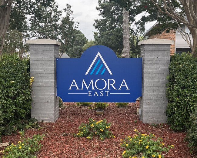 Amora East Townhomes