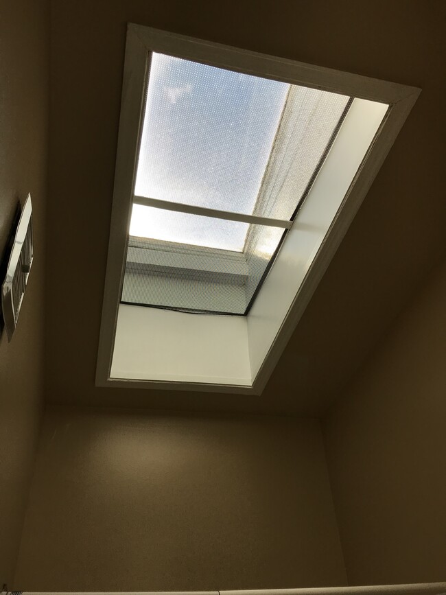 Bathroom skylight; 1 of 3 skylights in the unit! - 918 N. Calvert Street Unit 3C