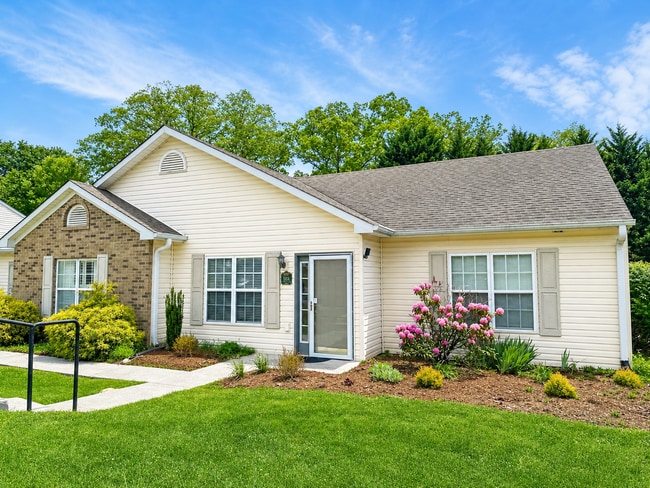 Building Photo - Black Mountain Townhome