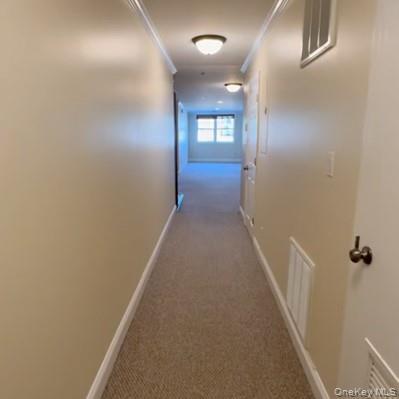 14 Willis Ave