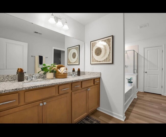 Baño principal - 258 Ridley Hill Ln