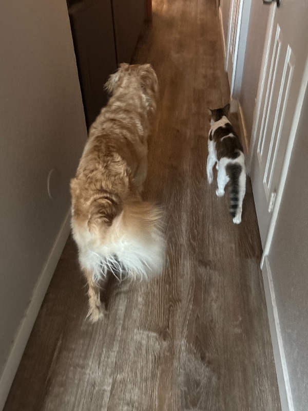 Photo - 4828 W Orangewood Ave Unit 116