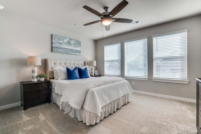 Spacious bedroom with plush carpeting and natural light - Canvas at Denton
