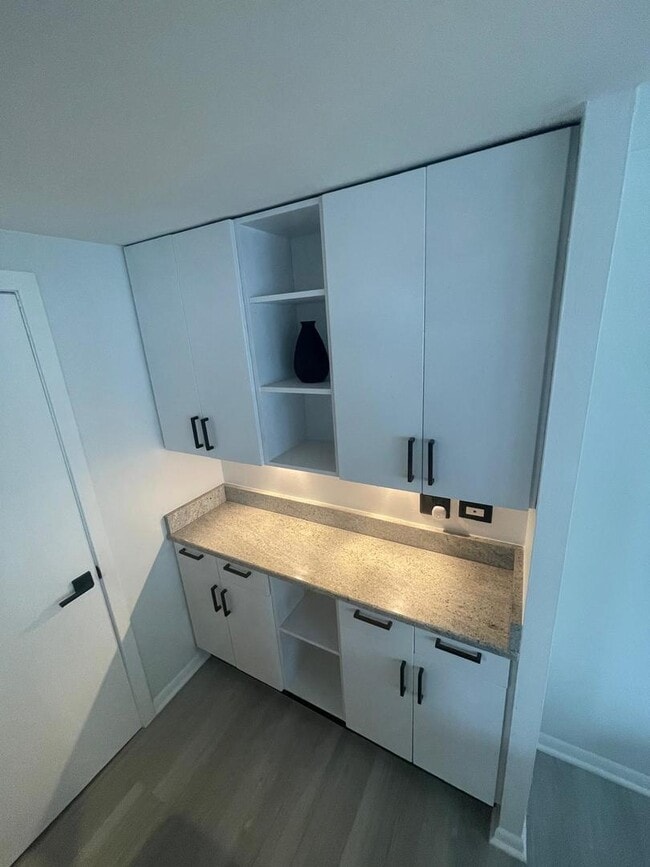 Photo - 1221 N Dearborn St Unit 1409N