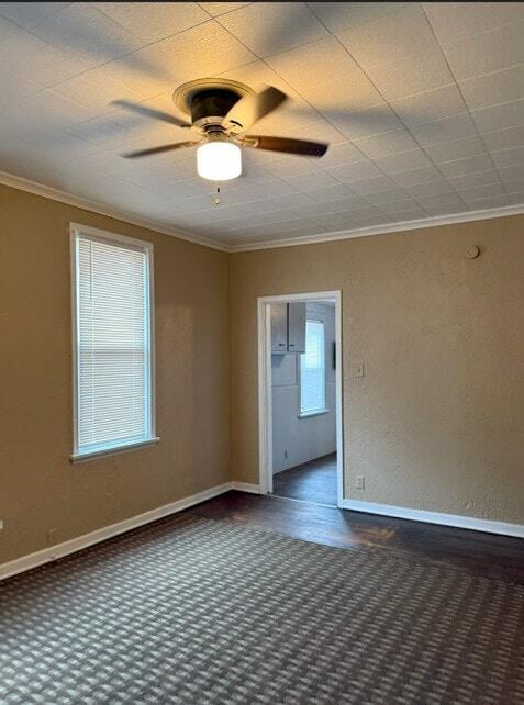 Photo - 319 Dexter St