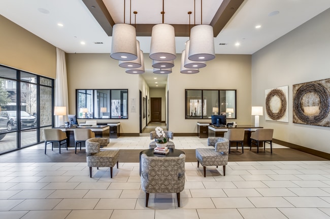 Photo - Ash at the Branch