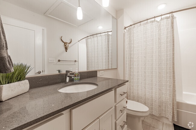 The Falls- 1BR, 1BA