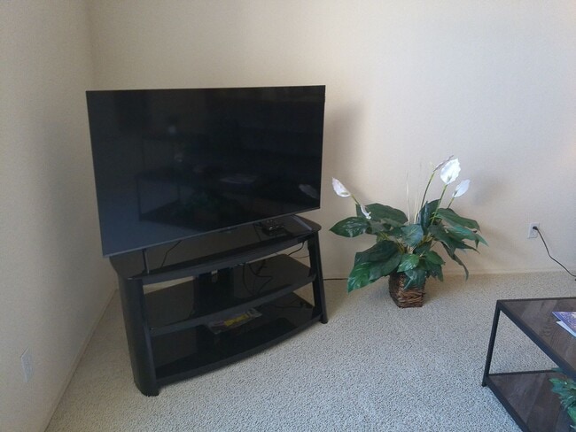 Photo - Winter Rental Available October-April 2026