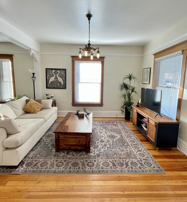 Photo - 348 Collyer St