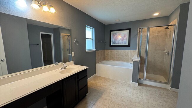 Photo - 18703 Brown Redbud Ct