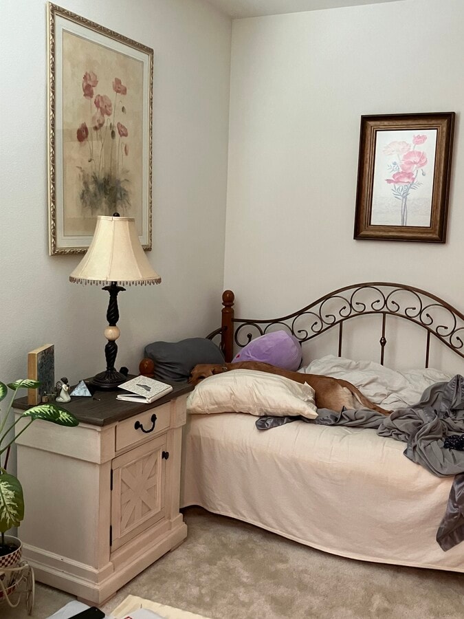 Photo - 5019 Deer Grass Dr