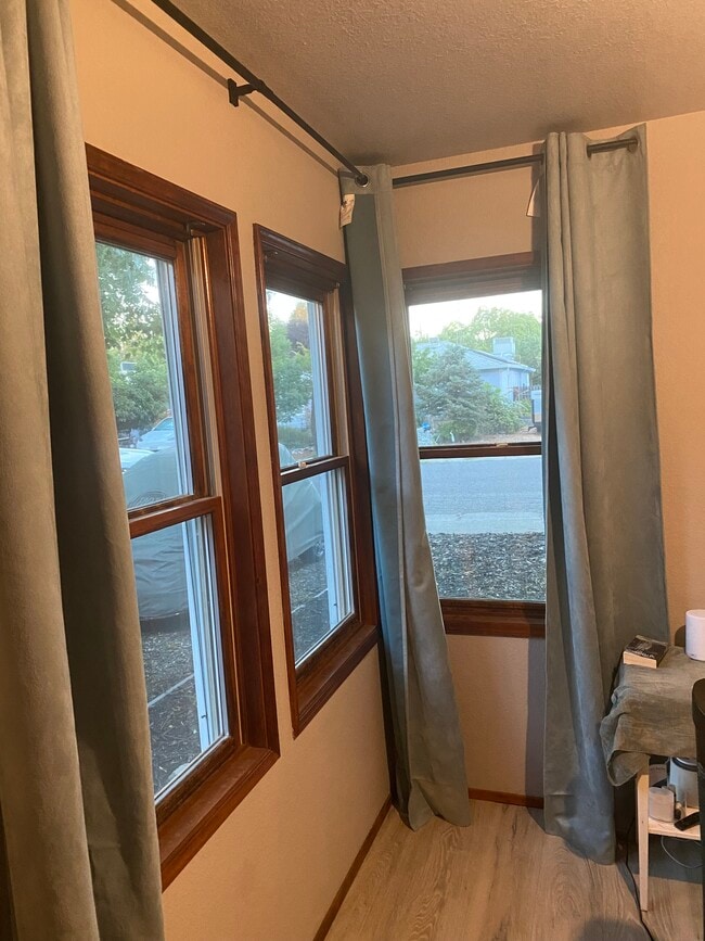 Shady view in summer. - 415 10th St Unit Cottage-like Studio