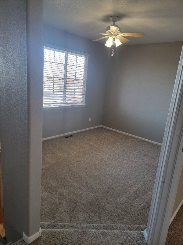 Photo - 911 Foxtail Ct