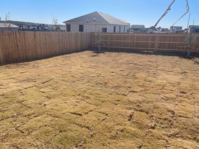 Photo - 11732 Red Pheasant