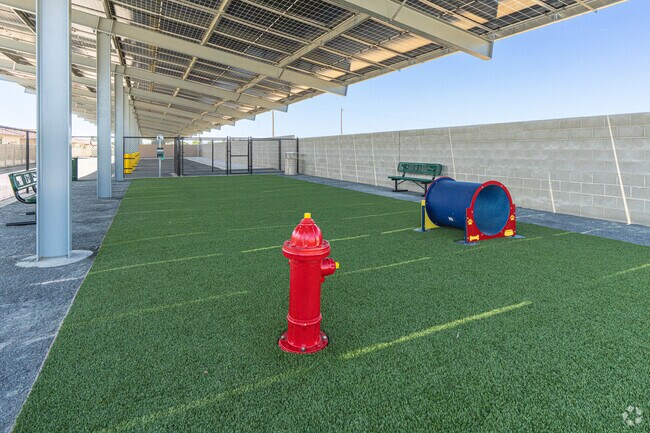 Dog Park
