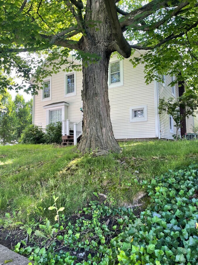 Photo - 297 High St Unit 301