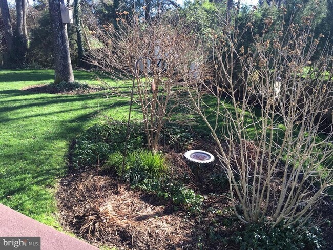 Photo - 9119 Buckner Rd