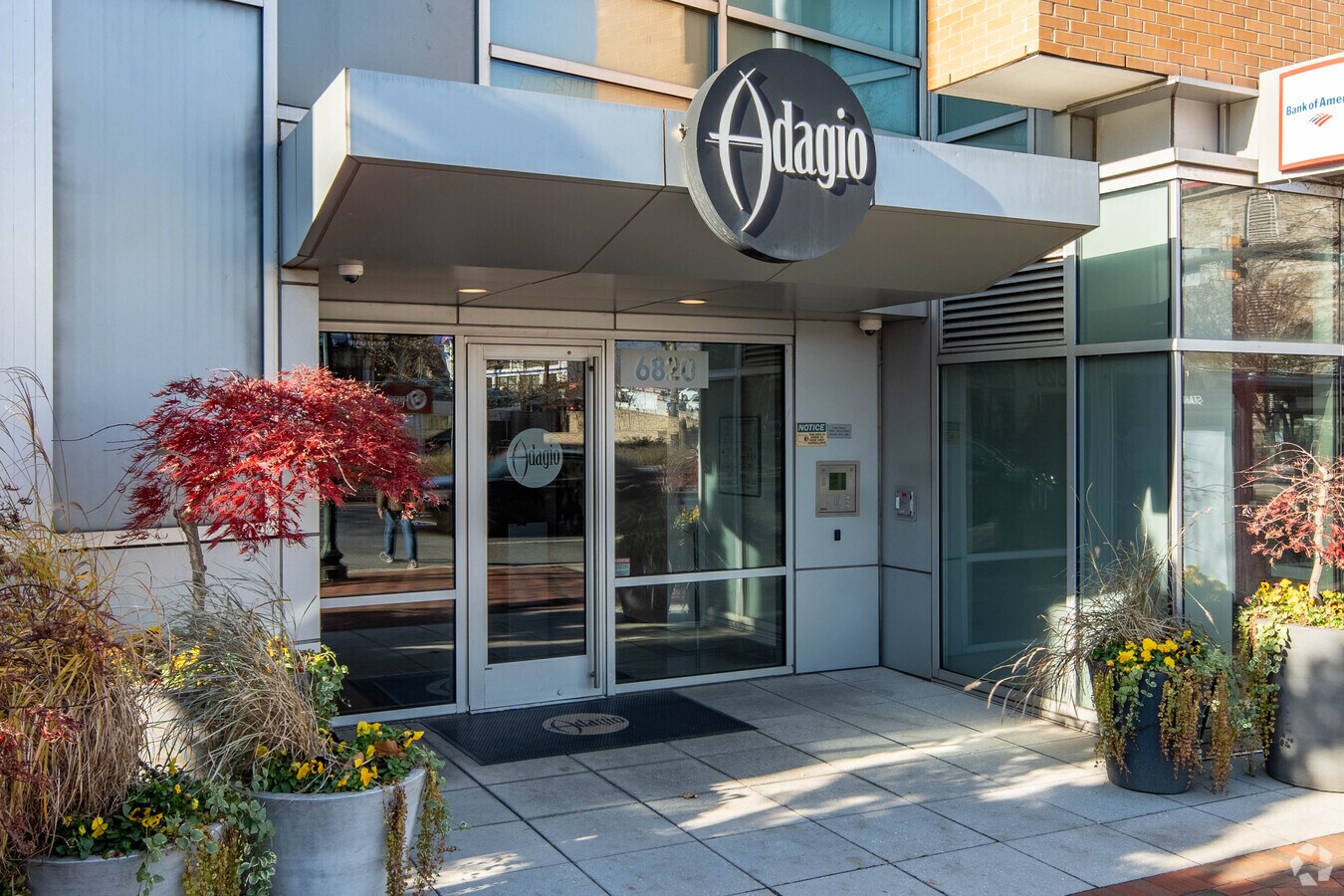 Photo - The Adagio