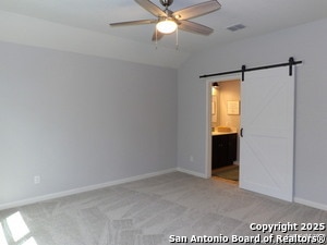 Photo - 6310 aster