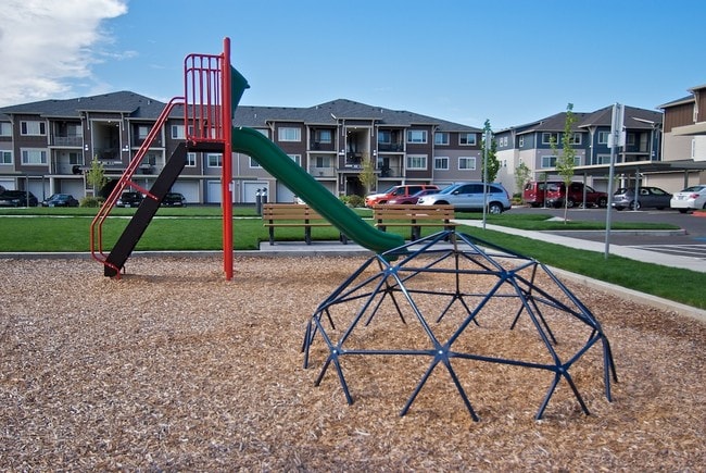 Photo - Baseline Woods