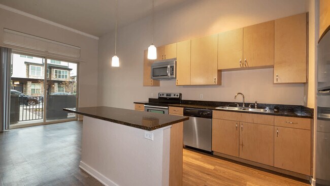 Kitchen and Living Area with Hard Surface Flooring