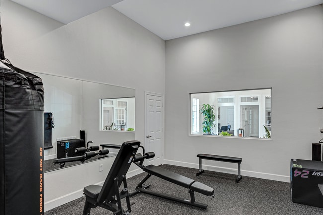 Photo - The Palazzo Apartments