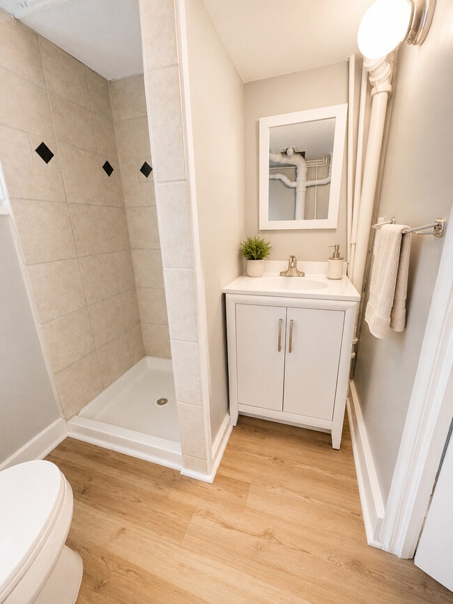 Downstairs Bathroom - 518 Monroe St