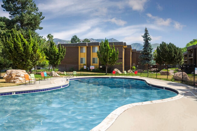 Photo - Country Woods