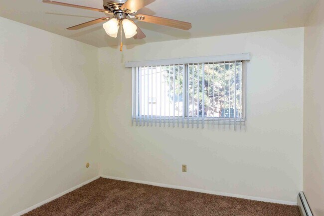 Stardust Plaza Apartments