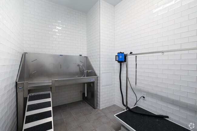 Dog Spa - The James Apartments