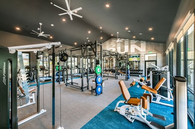 24-Hour Fitness Studio - Adler