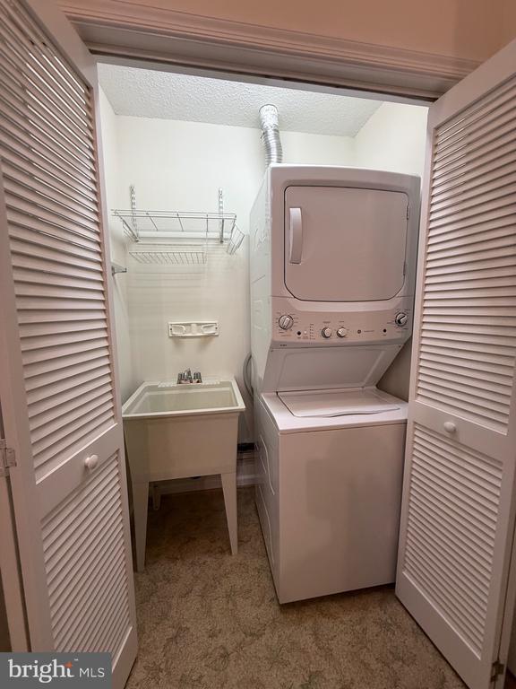 Photo - 11707 Collinwood Ct