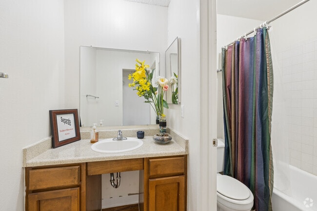 1BR, 1BA - 610SF - Bathroom