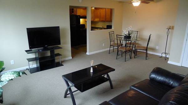 Fully Furnished Living Room - Alexander Place Apartments