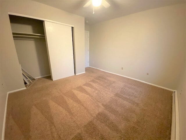 Photo - 4357 N Chestnut St